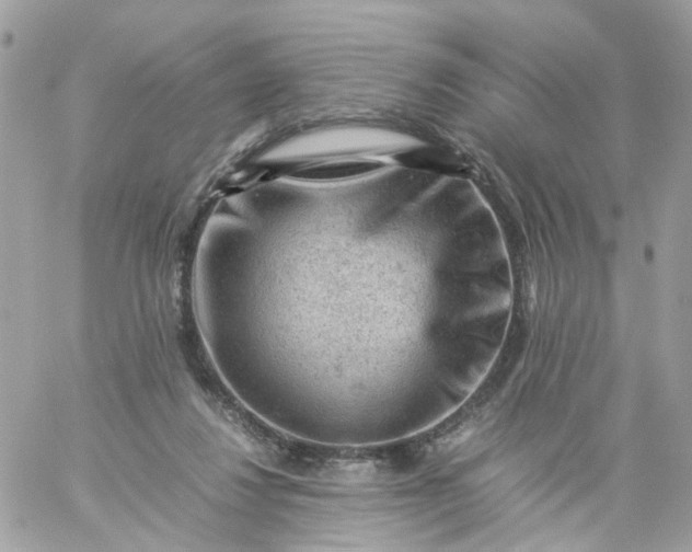 X0000059250260200510282003