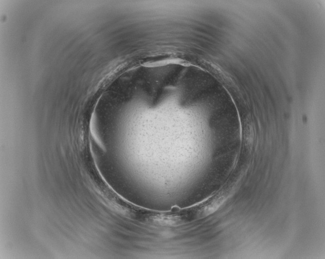 X0000059250261200510282003