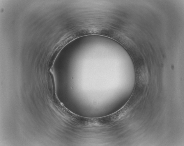 X0000059250262200510282003