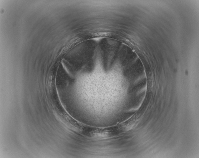 X0000059250263200510282003