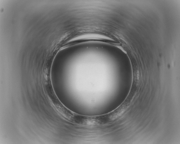 X0000059250264200510282003