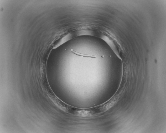 X0000059250265200510282003