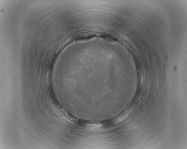 X0000059250266200510282003