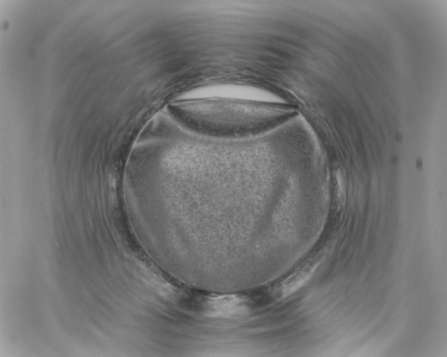 X0000059250269200510282003