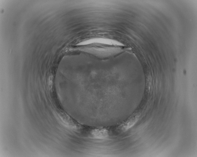 X0000059250271200510282003