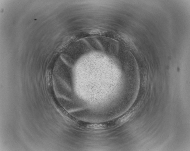 X0000059250273200510282003