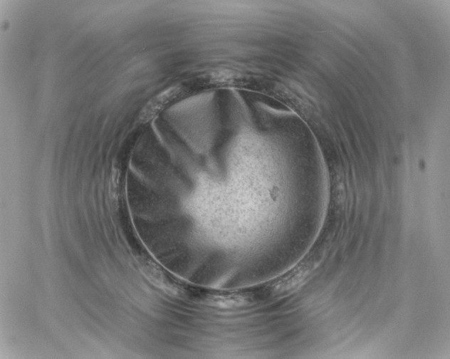 X0000059250275200510282003