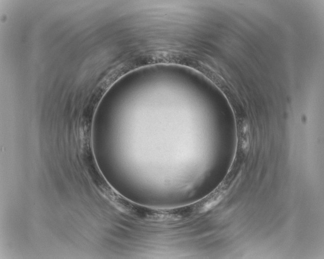 X0000059250276200510282003