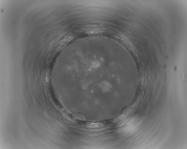 X0000059250277200510282003