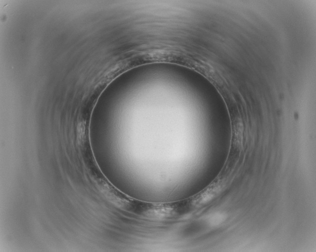 X0000059250278200510282003