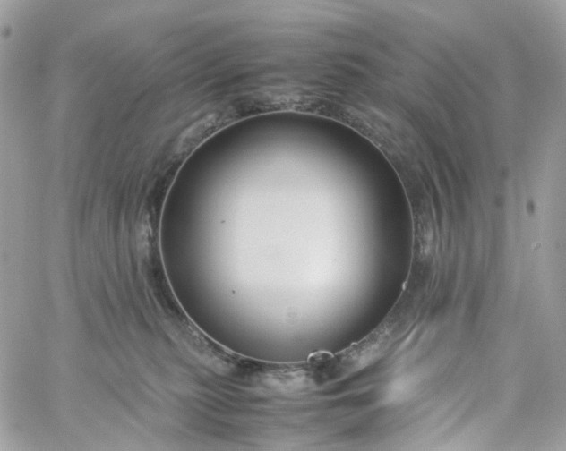 X0000059250279200510282004