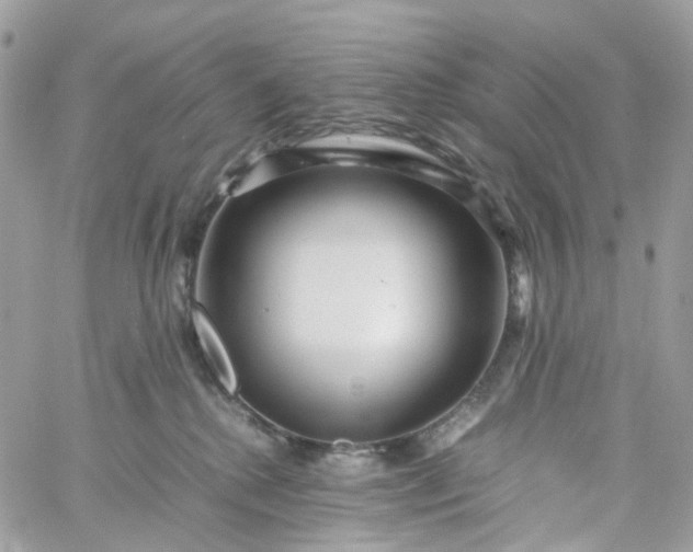 X0000059250280200510282004