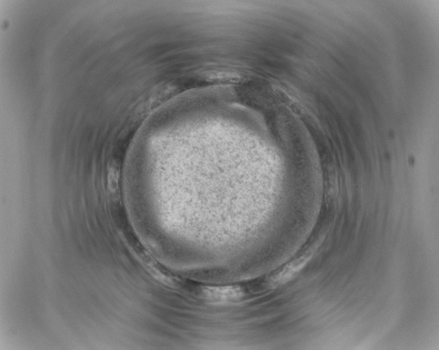 X0000059250281200510282004