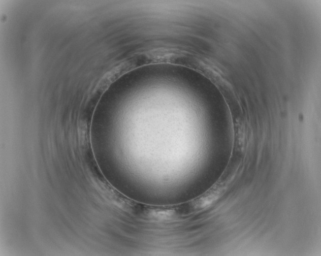 X0000059250283200510282004