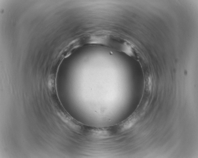 X0000059250284200510282004