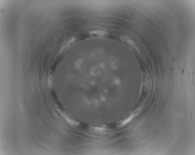 X0000059250285200510282004