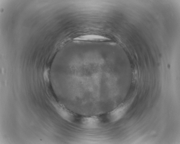 X0000059250286200510282004