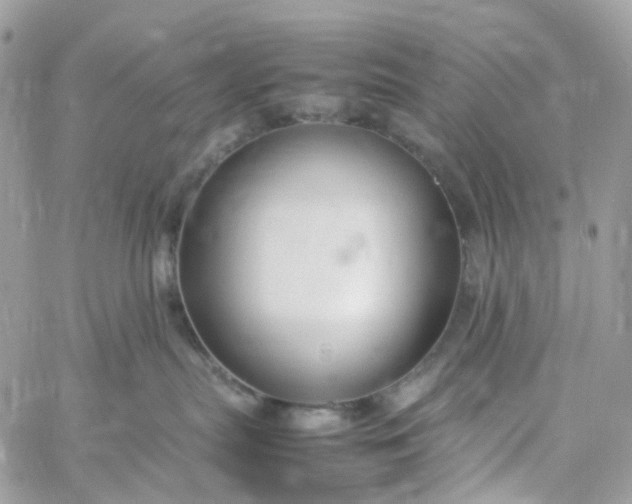 X0000059250287200510282004