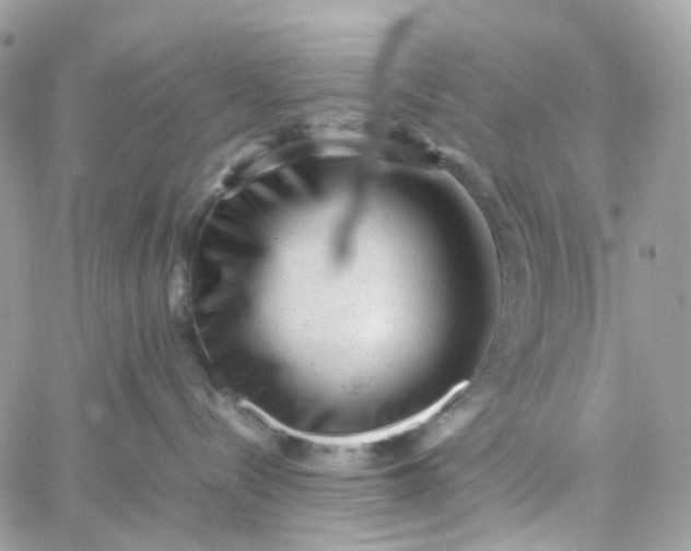 X0000059250288200510282004