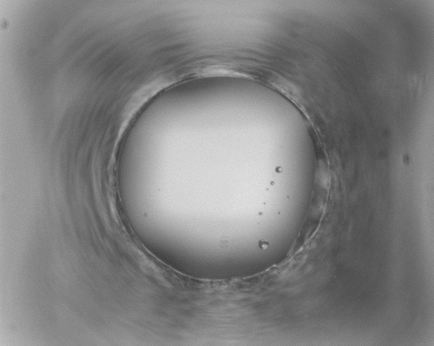 X0000059250289200510282003