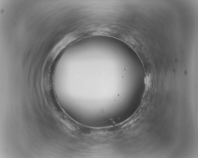 X0000059250291200510282003