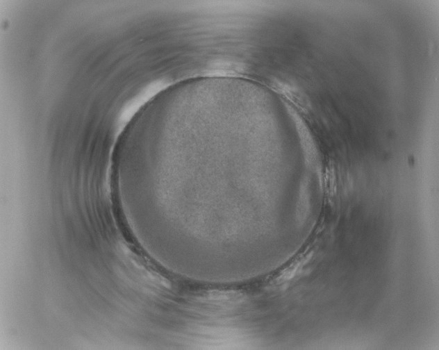 X0000059250292200510282003