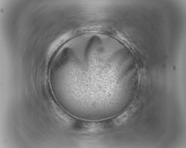 X0000059250293200510282003