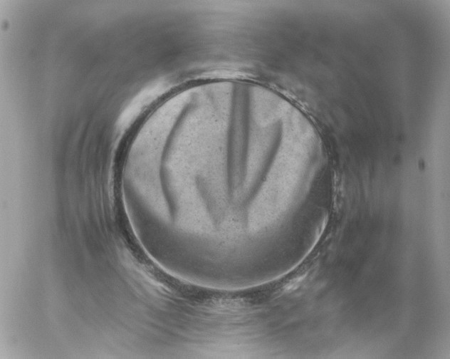 X0000059250296200510282003