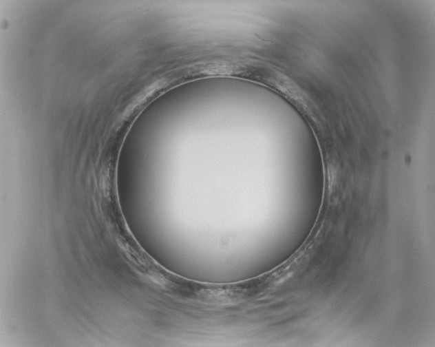 X0000059250297200510282003