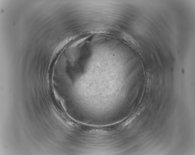 X0000059250298200510282003