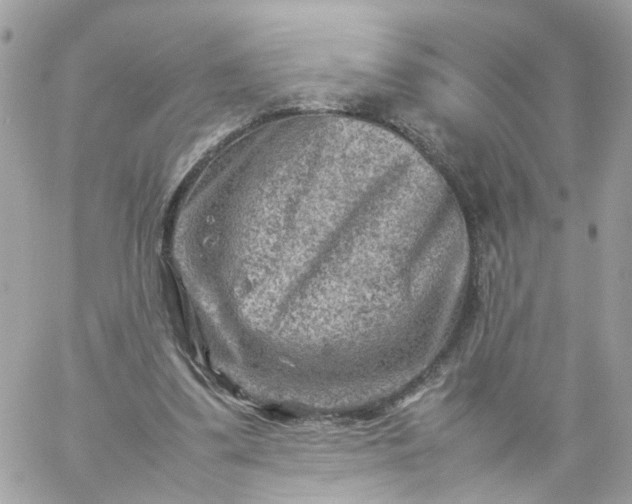 X0000059250299200510282003