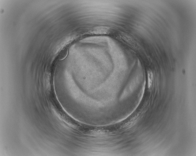 X0000059250300200510282003