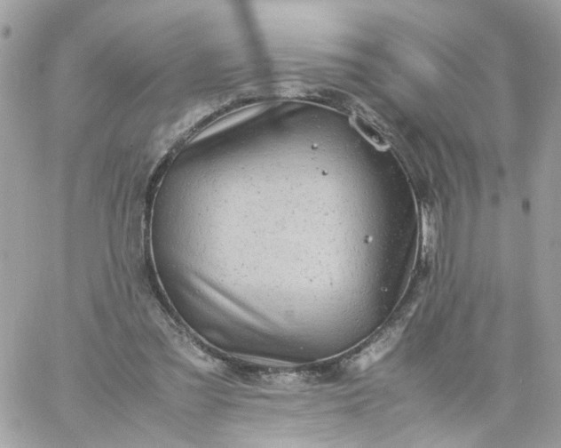 X0000059250301200510282003