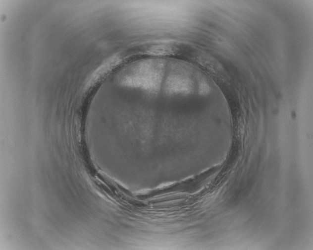 X0000059250303200510282003