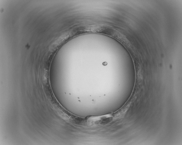 X0000059250305200510282003