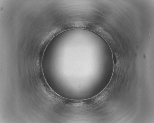 X0000059250306200510282003