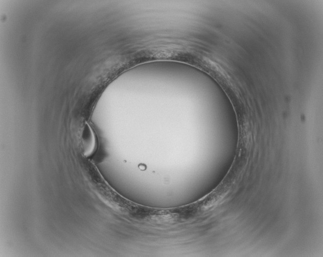 X0000059250307200510282003