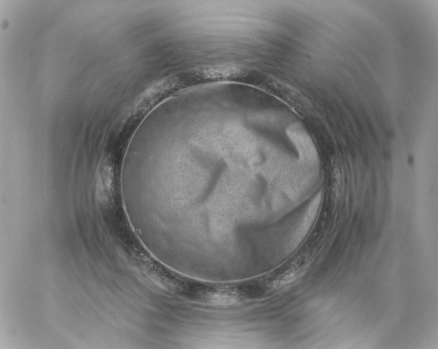 X0000059250308200510282003