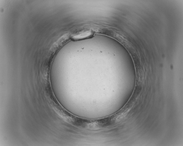 X0000059250309200510282003