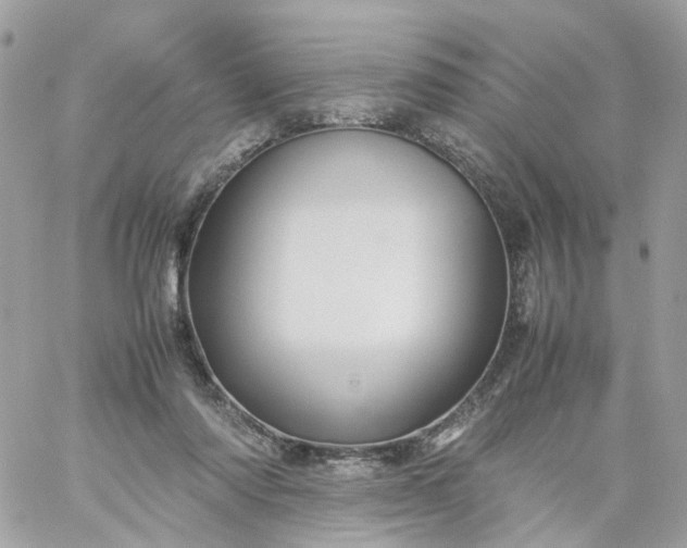 X0000059250310200510282003