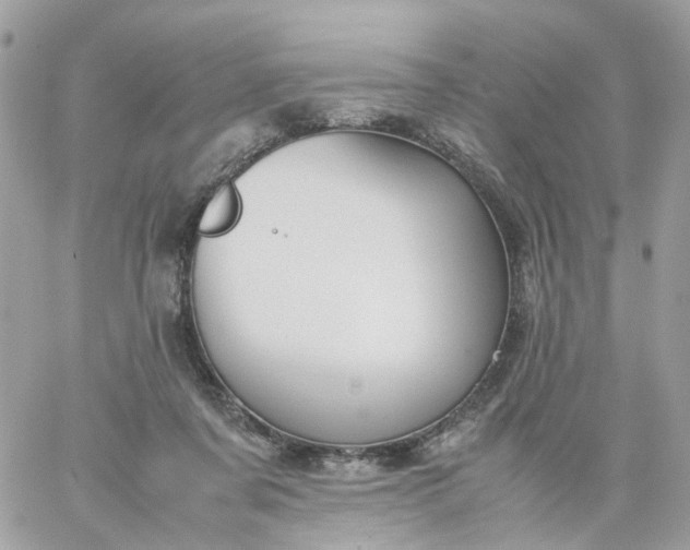 X0000059250311200510282003