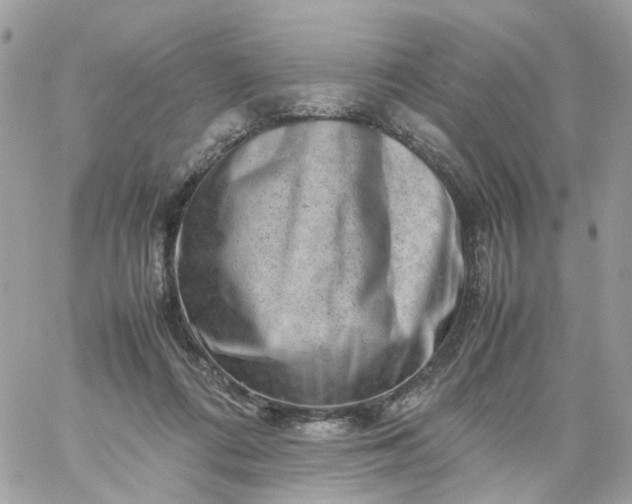 X0000059250312200510282002