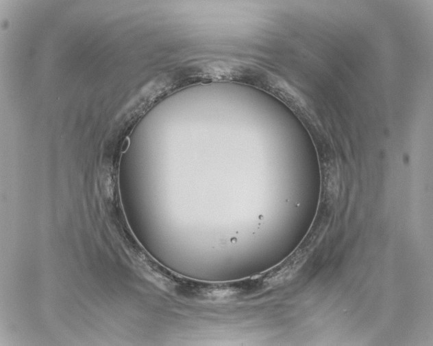 X0000059250313200510282002