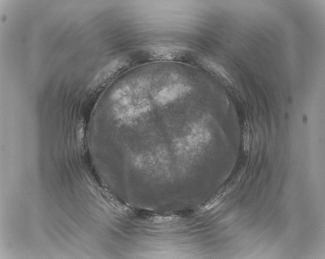 X0000059250314200510282002