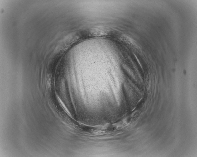 X0000059250315200510282002