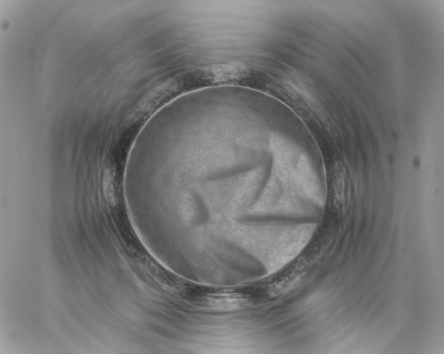 X0000059250316200510282002