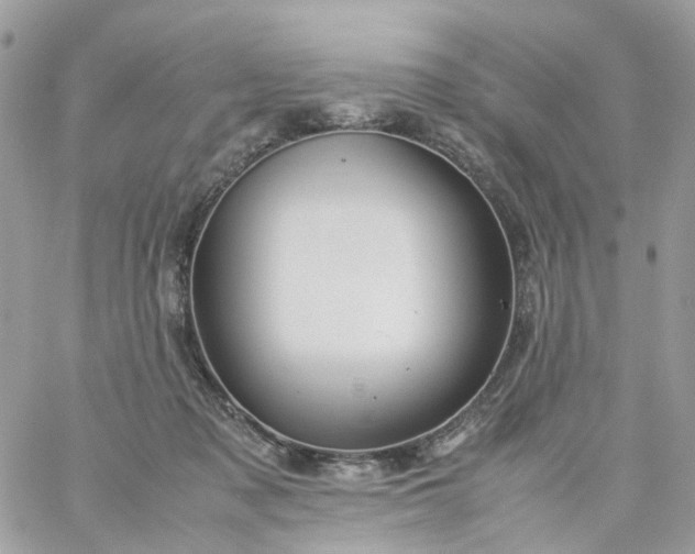 X0000059250317200510282002