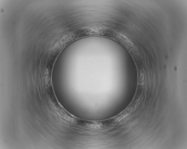 X0000059250318200510282002