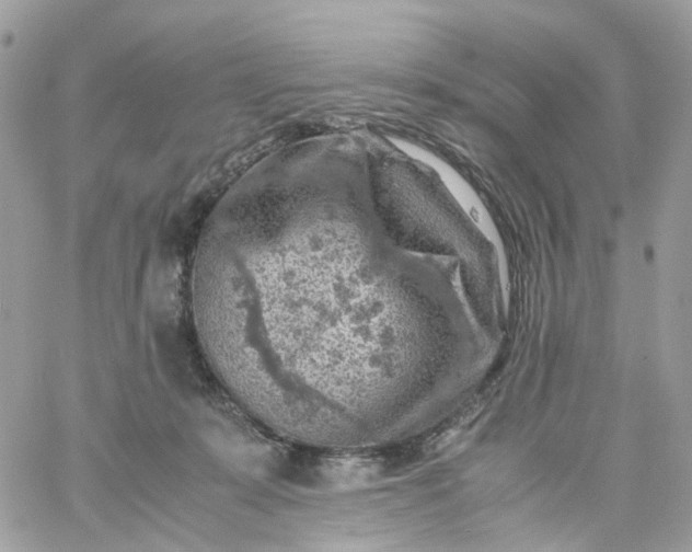 X0000059250319200510282002