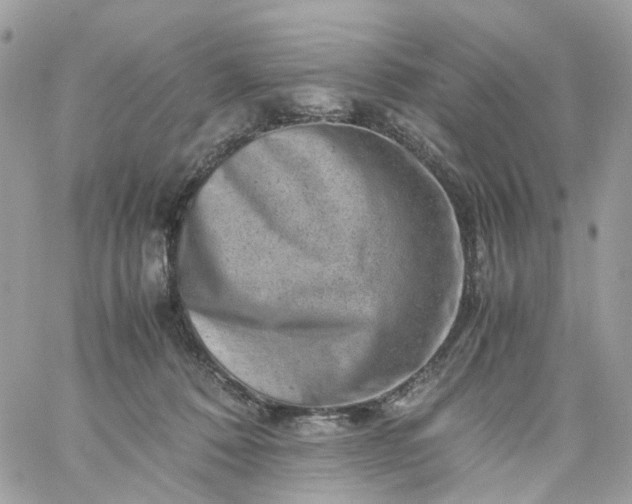 X0000059250320200510282002